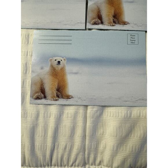 Lot of 5 Seasons Greetings Holiday Cards Polar Bear Winter Wildlife Blank - Picture 2 of 6